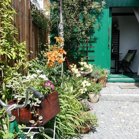 Apartman Horšovský Týn Extérieur photo